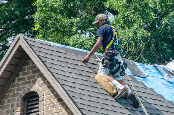 Best Roof Leak Repair  in Comstock Northwest, MI
